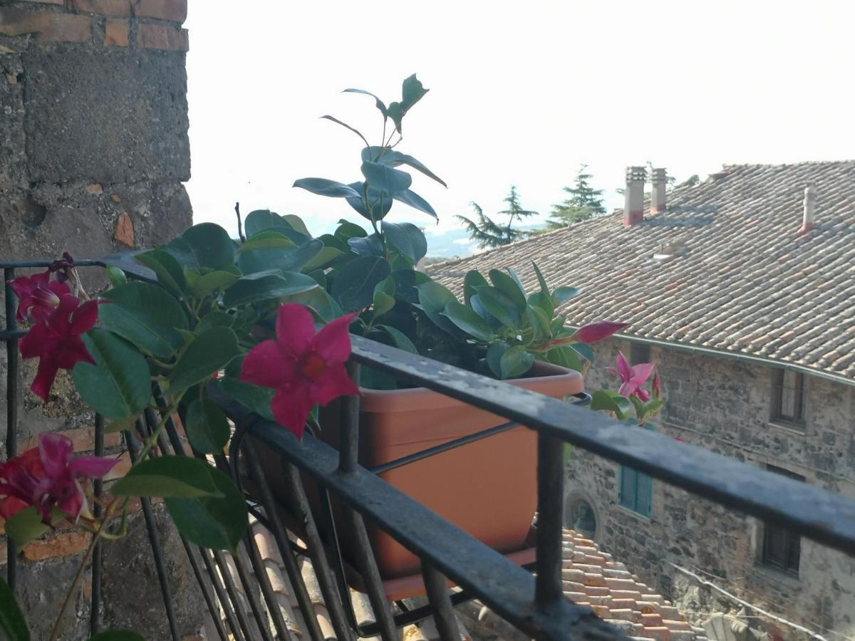 La Gioiosa Appartement Radicofani Buitenkant foto